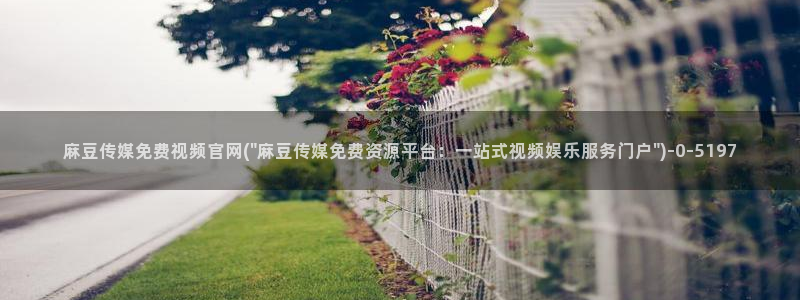 麻豆传媒视频