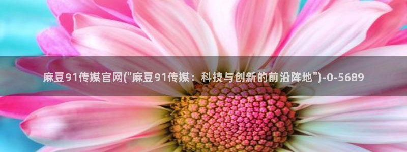 麻豆内容优化