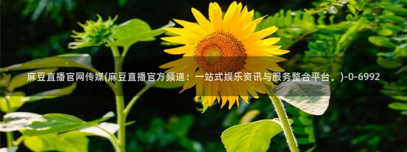 麻豆剧情页：麻豆直播官网传媒(麻豆直播官方频道：一站式娱乐资讯与服务整合