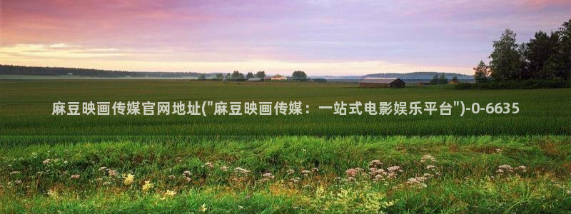 麻豆传媒精选：麻豆映画传媒官网地址(\