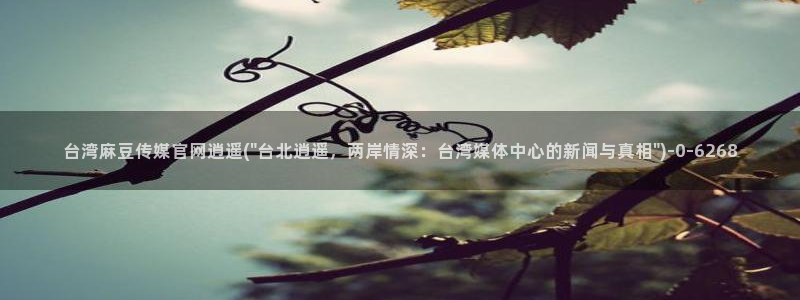 麻豆系列视频：台湾麻豆传媒官网逍遥(\