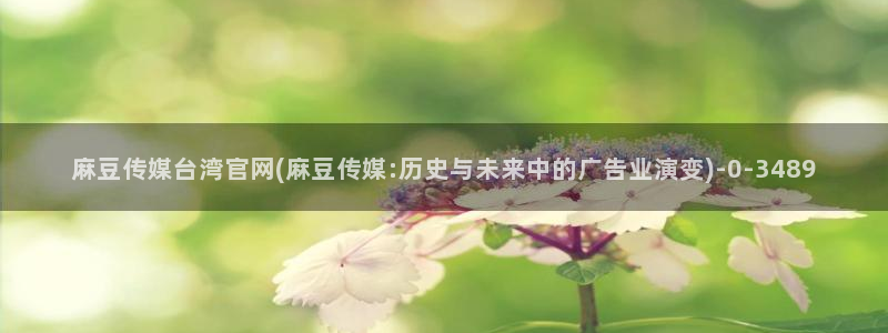 麻豆视频资料文案