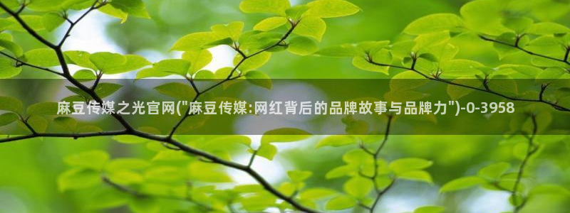 麻豆视频站