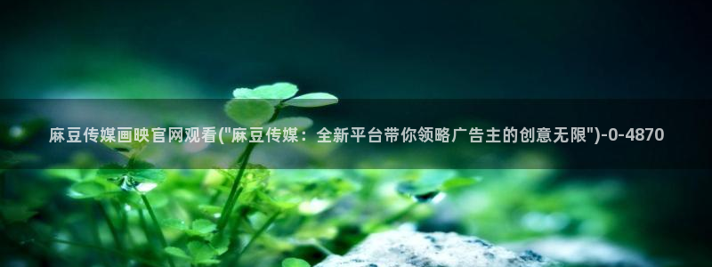 麻豆资讯标题
