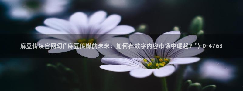 麻豆视频目录