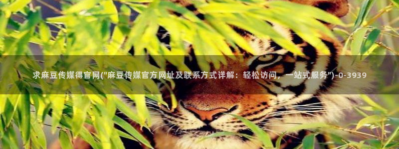 麻豆精选视频