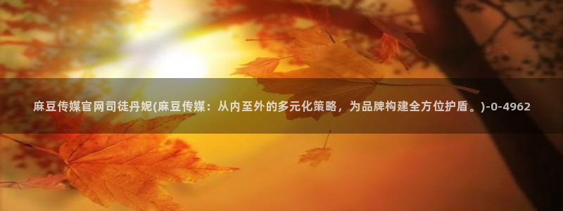 麻豆视频大全
