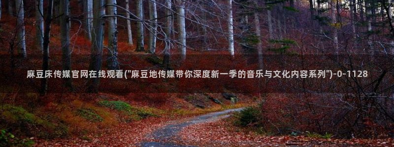 麻豆专题描述